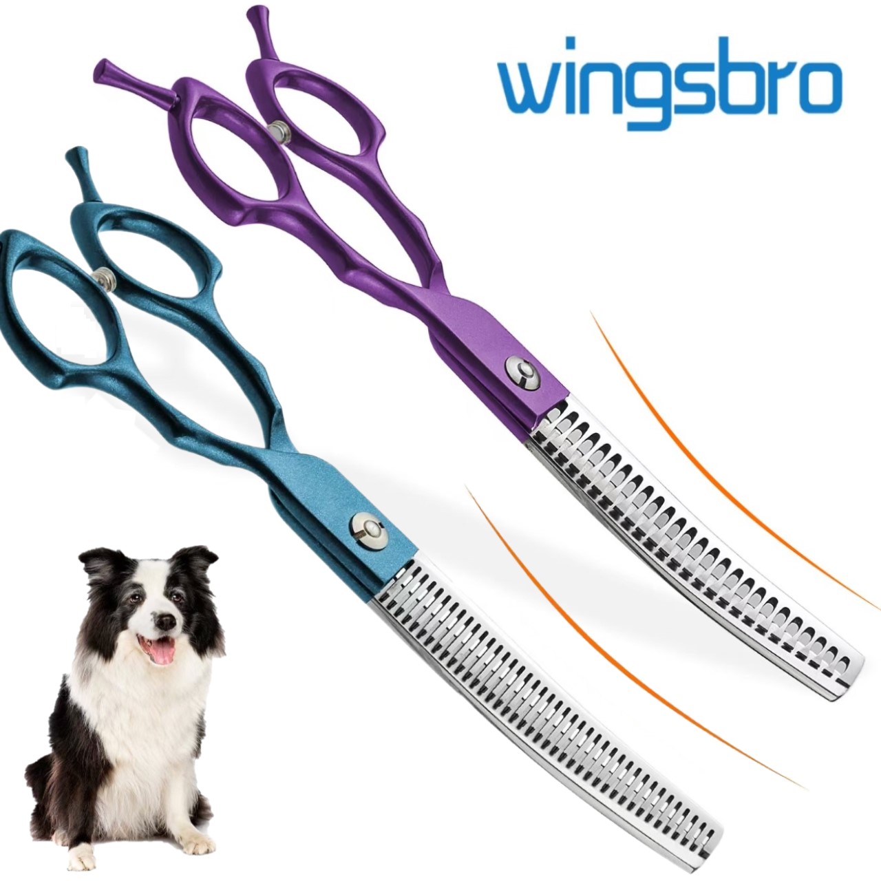 Grooming Scissors - مقصات تجميل للكلاب من الفولاذ المقاوم