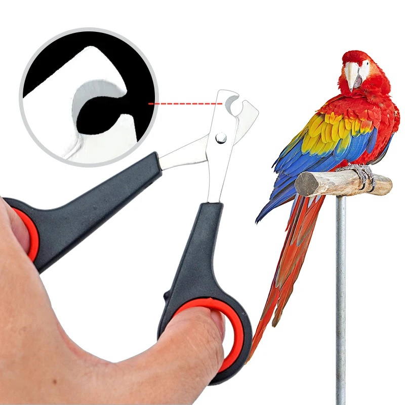 مقص أظافر للطيور والحيوانات ال - مراجعة Grooming Scissors وسعره