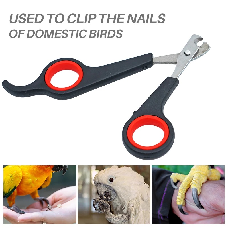 مقص أظافر للطيور والحيوانات ال - مراجعة Grooming Scissors وسعره