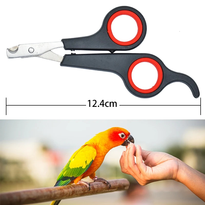 مقص أظافر للطيور والحيوانات ال - مراجعة Grooming Scissors وسعره